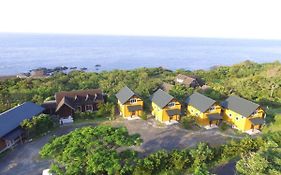海の胡汀路 てぃーだ